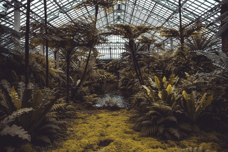 Plastic bottle greenhouse